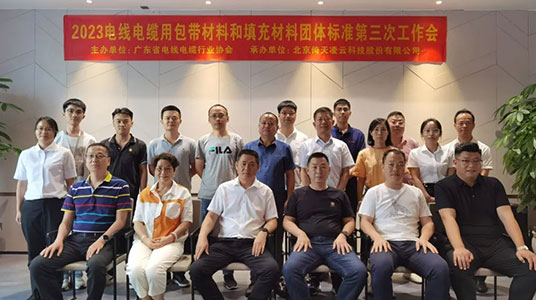 倚天云母承辦2項團體標(biāo)準修訂工作會于東莞順利舉行